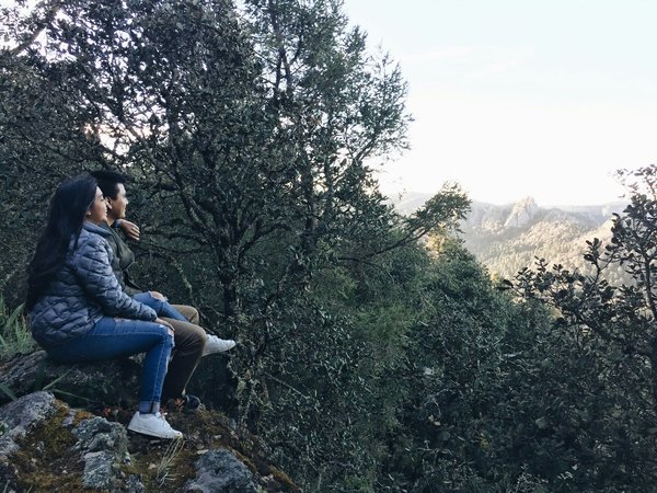 Judo vs jiu-jitsu : deux arts martiaux comparés